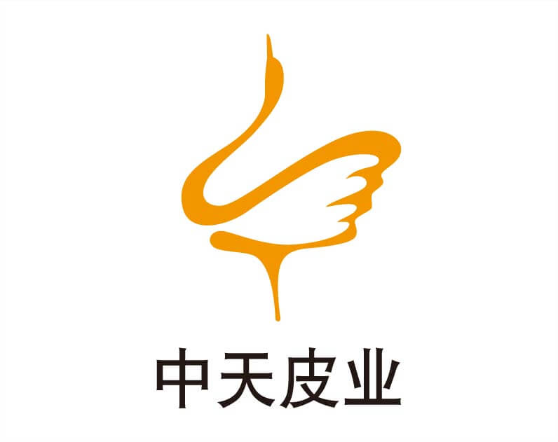 中天皮业logo设计