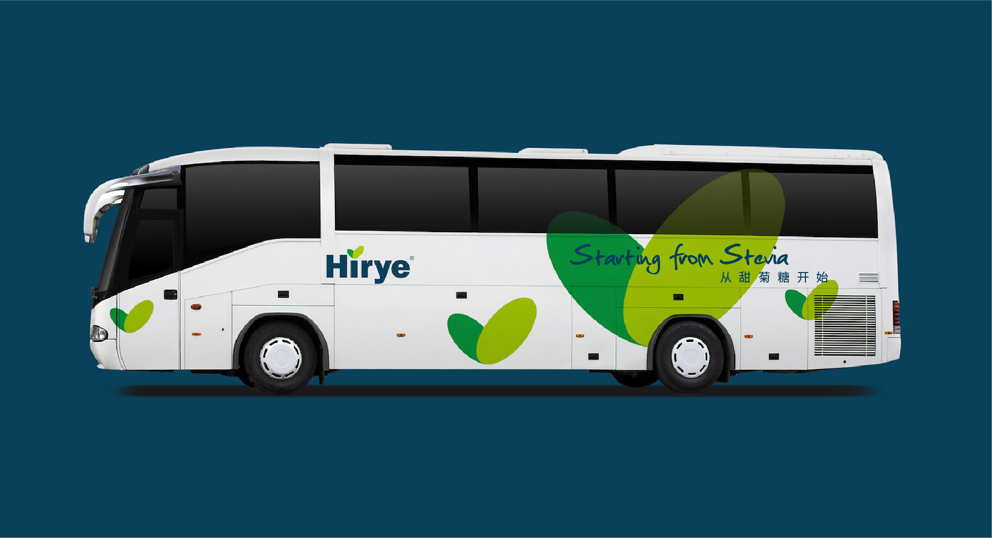 1761536282164967.jpg 浩瑞甜菊糖-硕谷设计-上海vi设计-上海logo设计-品牌设计-标志设计-画册设计--logo 设计-品牌策划-高端设计-硕谷品牌设计-30-30.jpg