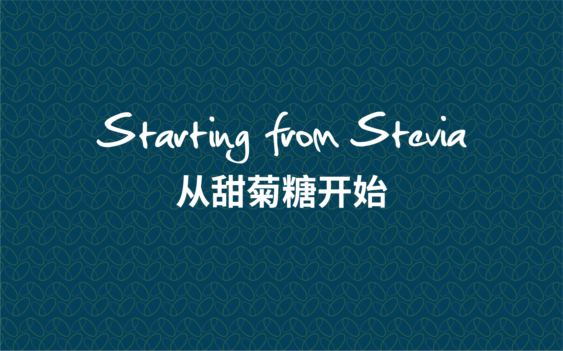 1762328193604946.jpg 浩瑞甜菊糖-官网展示-3-03.jpg